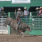 truckee pro rodeo image