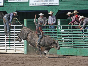 truckee pro rodeo image