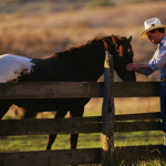 tahoe truckee horseback riding image